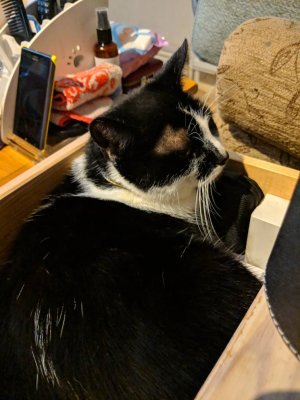 IMG_20190330_231550.jpeg