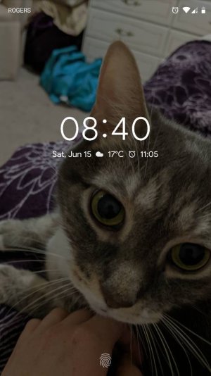 42876.jpg