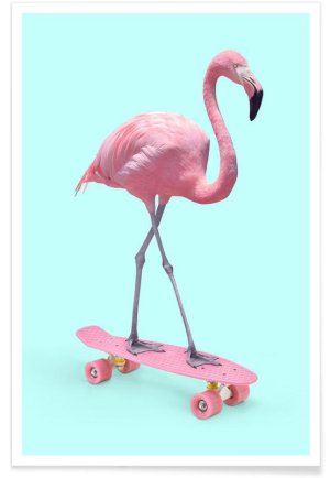 flamingo.jpg