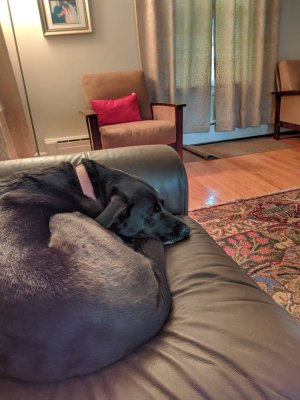 IMG_20190617_180620.jpeg