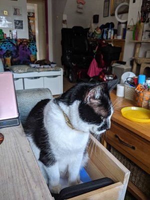 IMG_20190618_104144.jpeg
