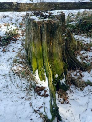 20190402_121029.jpg