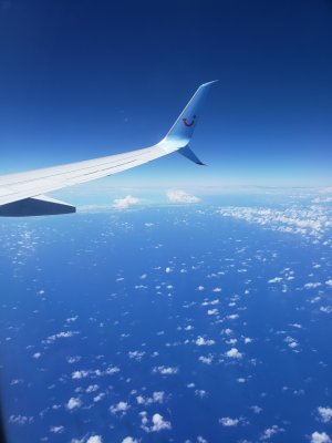 plane view.jpg