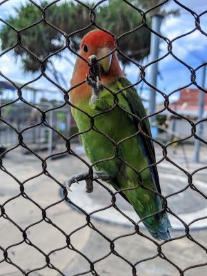 IMG_20190615_144715.jpg