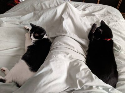 IMG_20190405_170941.jpeg