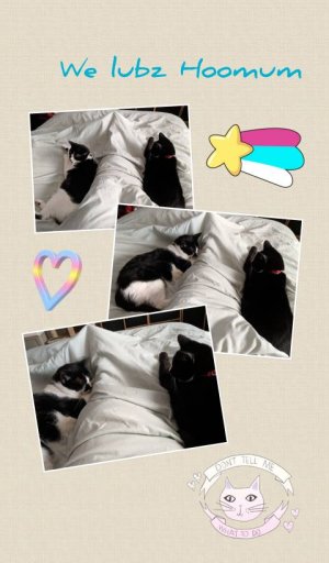 inCollage_20190405_173139219.jpeg