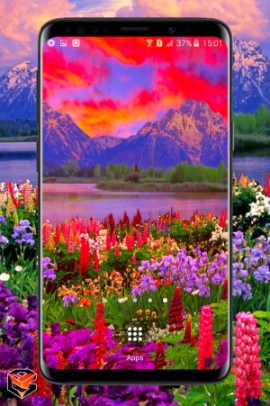 vof_phone_background_0_8.jpg