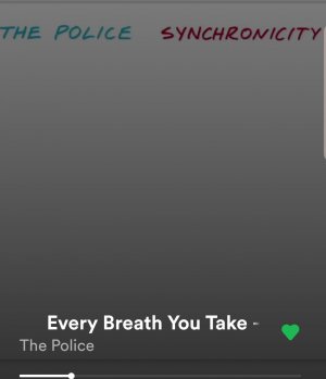 Screenshot_20190620-061028_Spotify.jpg