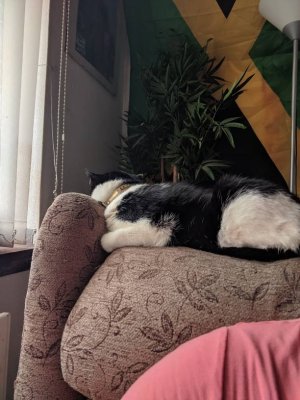 IMG_20190620_122747.jpeg