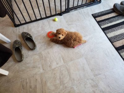 20190406_162656.jpeg