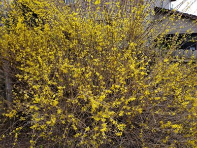 20190308_163401.jpg