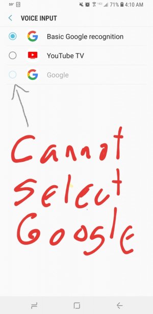 CannotSelectGoogle--VoiceInput_1.jpg