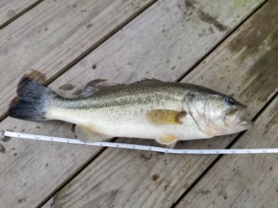 20190308_163833.jpg