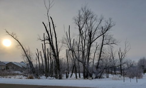 20190309_132912.jpg