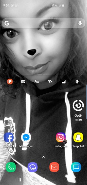 Screenshot_20190409-095440_Nova Launcher.jpg