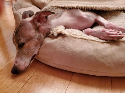 2019-03-08 19.13.46.jpg