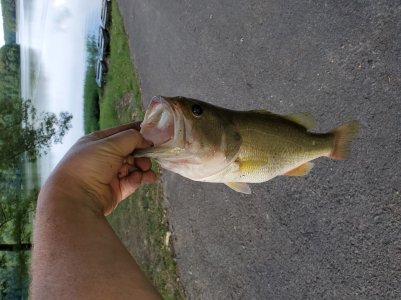 20190625_173013_compress92.jpg
