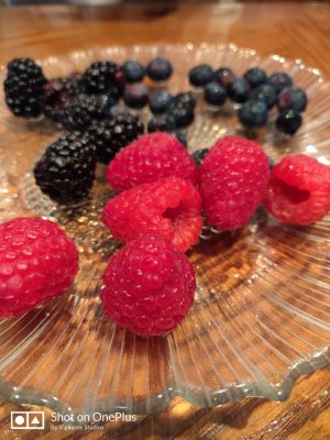 IMG_20190310_113729.jpeg