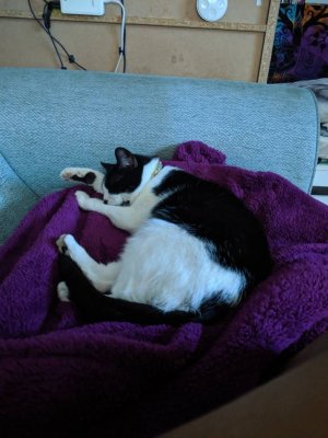 IMG_20190627_044657.jpeg