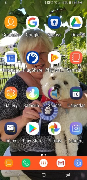Screenshot_20190310-130456_Nova Launcher.jpg
