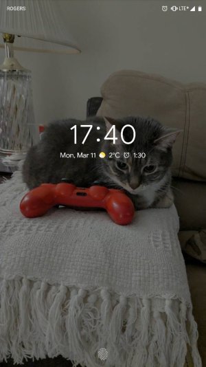 38672.jpg