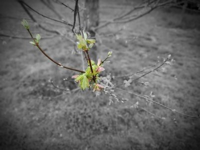 20190414_183138_compress_44.jpg