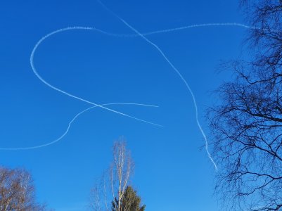 20190416_180131.jpg