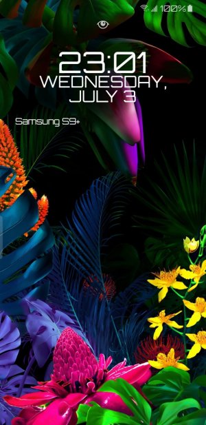 Screenshot_20190703-230138_One UI Home.jpg