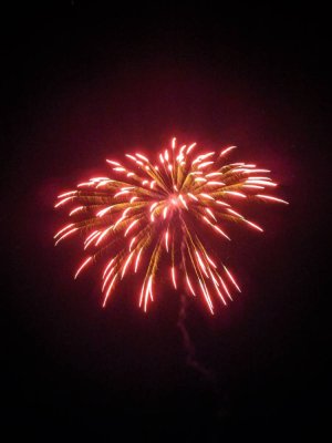 IMG_20190704_215059.jpeg