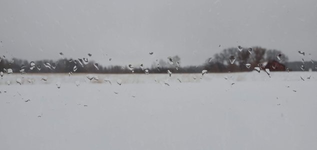 20190313_154508.jpg