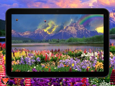 vof_tablet_background_0_3.jpg