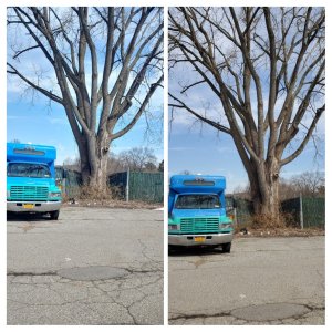 20190314_141051-COLLAGE.jpg
