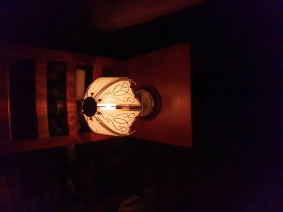 20190313_201546.jpg