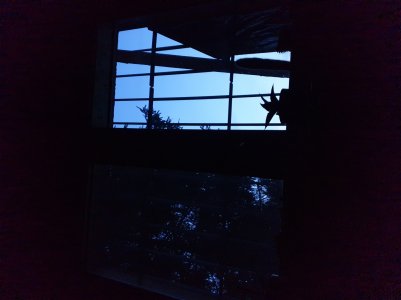 20190314_181219.jpg