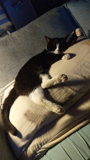 IMG-20190706-WA0010.jpeg