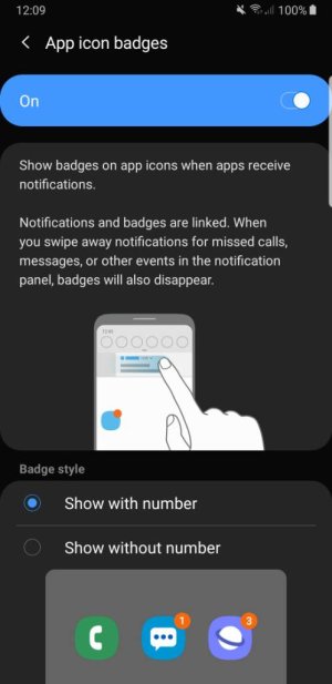 Screenshot_20190708-120921_Settings.jpeg