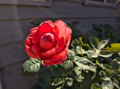 IMG_20190420_151736~2.jpg