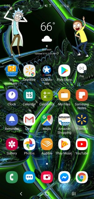 Screenshot_20190315-010306_One UI Home.jpg