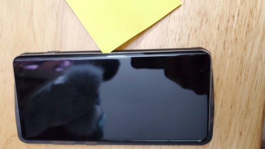 20190421_124911.jpg