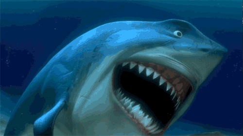 u36Ow6jBvWCFW.gif