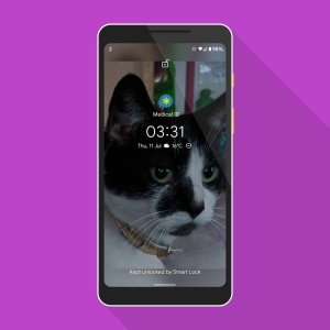 Google%20Pixel%202%20XL%20(4).jpeg