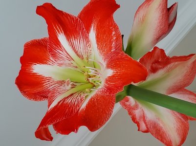 20190315_144239.jpg