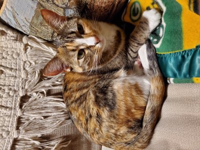 20190313_202103.jpg