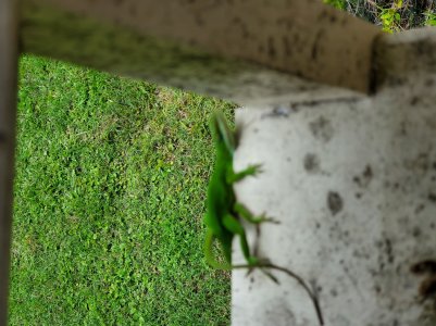 20190712_133045.jpg