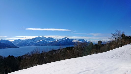DSC_0209.jpg