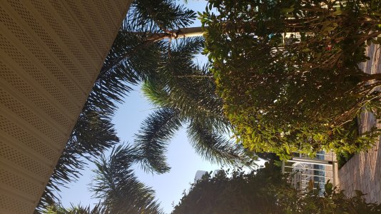 20190326_081637.jpg