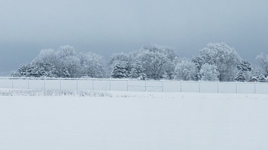 20190317_083114.jpg