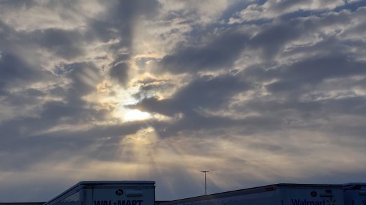 20190317_092117.jpg