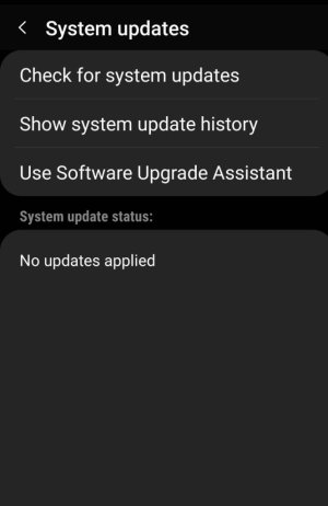 SmartSelect_20190317-192928_System%20updates%20UI.jpeg
