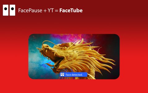 Screenshots FaceTube 2.jpg